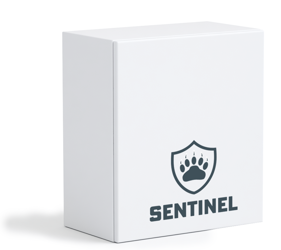 Conceptual Sentinel processing unit